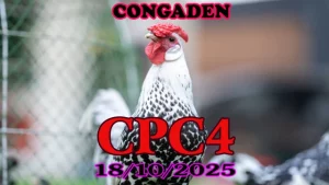 Phát lại đá gà đấu trường Thomo C4 ngày 18/10/2025