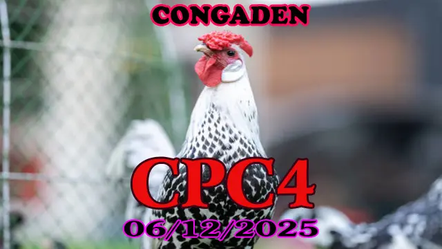 Link phát lại đá gà trực tiếp CPC4 hôm nay 06122025 chuẩn nét