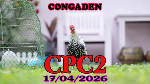 Full clip đá gà trực tiếp Thomo CPC2 ngày 17042026