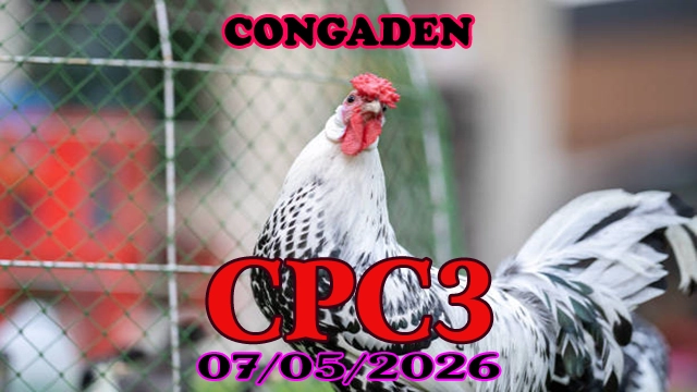 Video đá gà trực tiếp CPC3 hôm nay 07052026